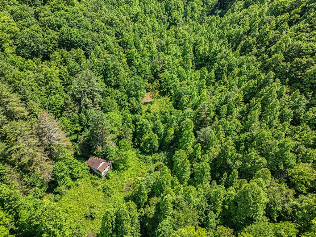TBD Osborne Branch Road