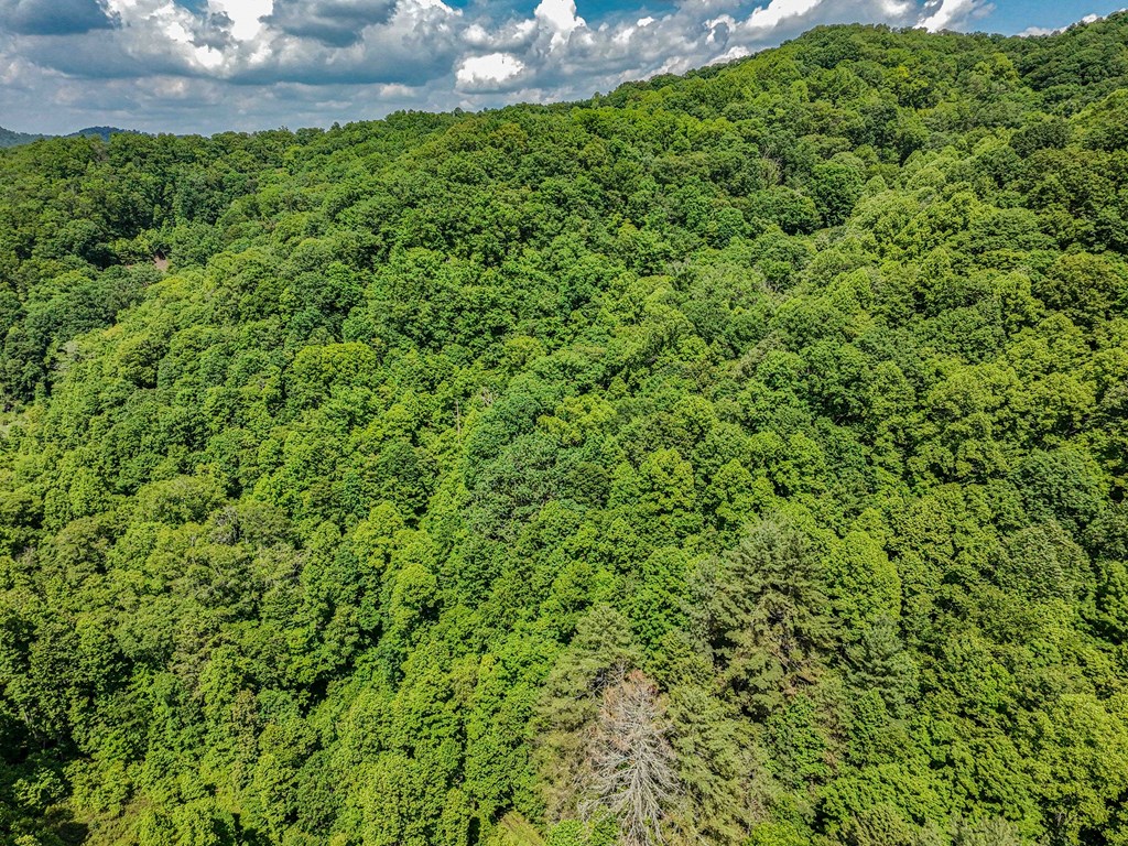 TBD Osborne Branch Road