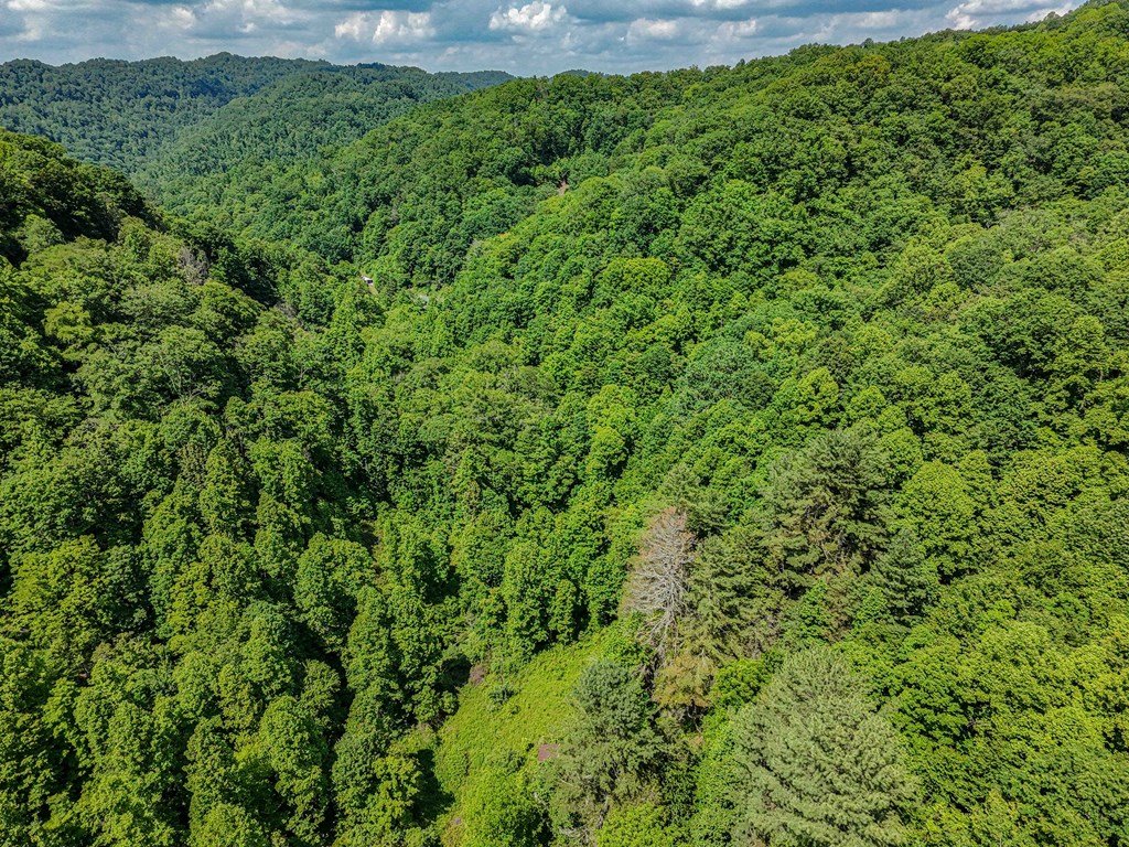 TBD Osborne Branch Road