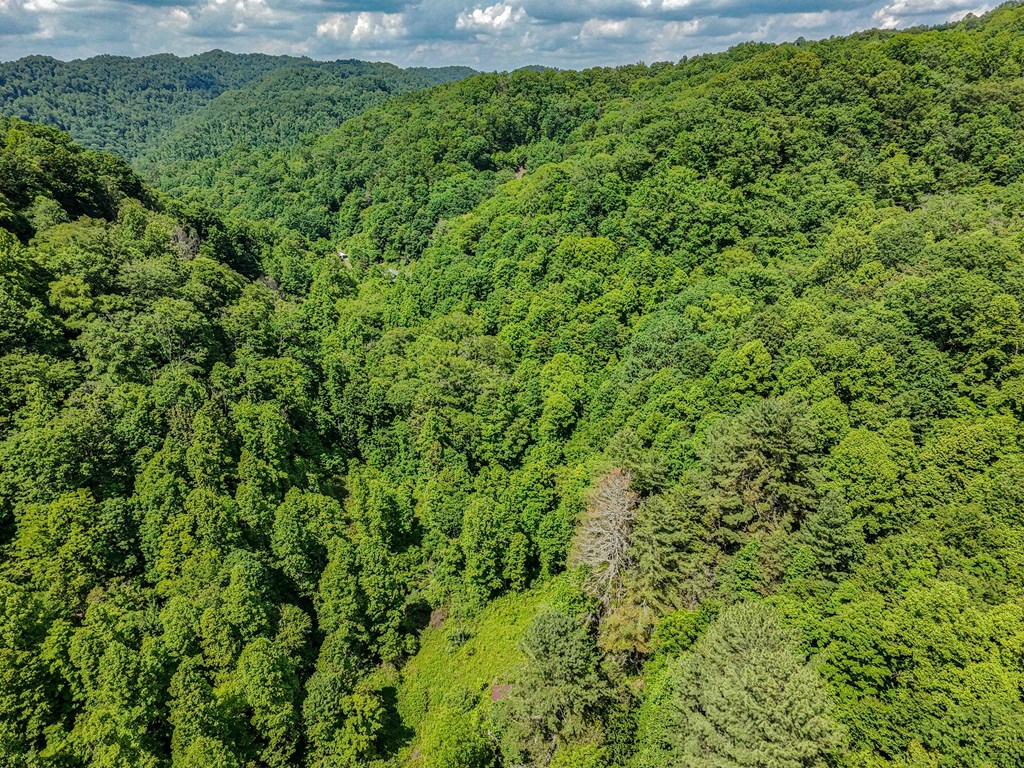TBD Osborne Branch Road