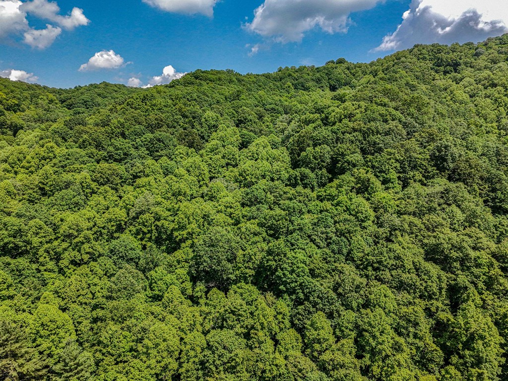 TBD Osborne Branch Road