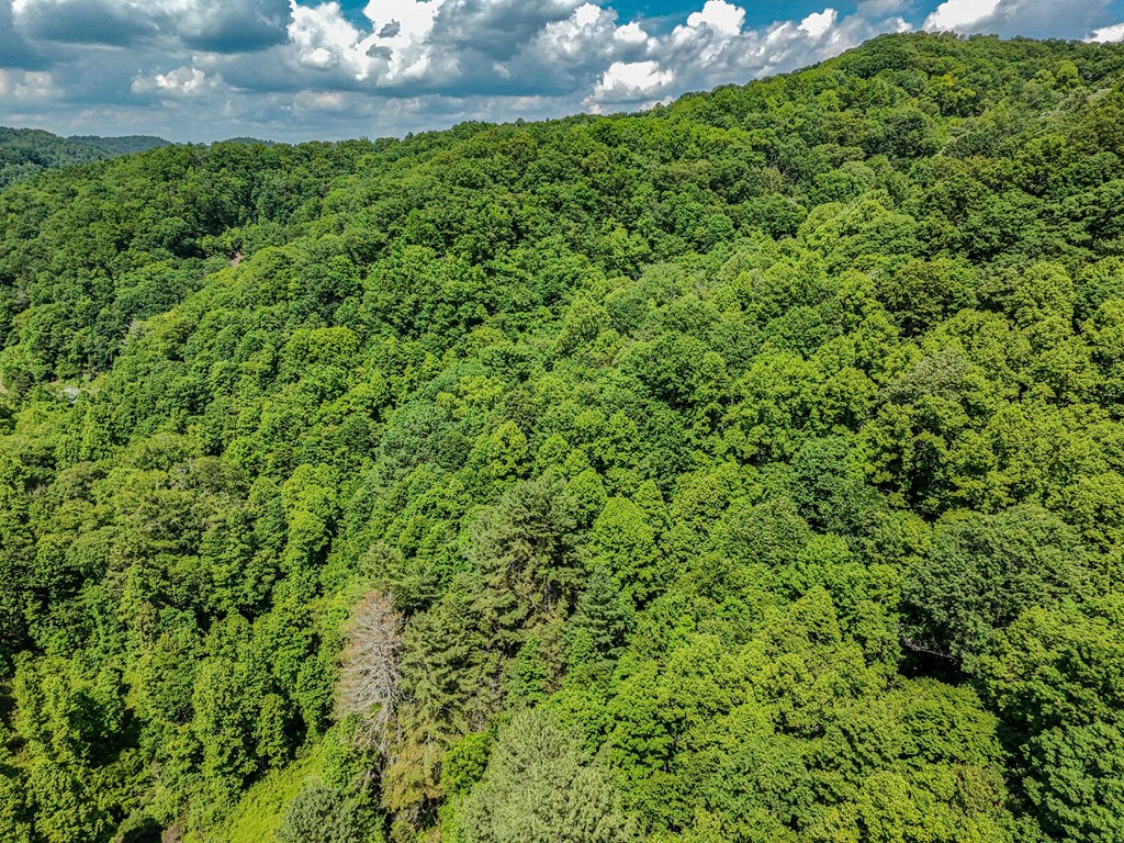 TBD Osborne Branch Road