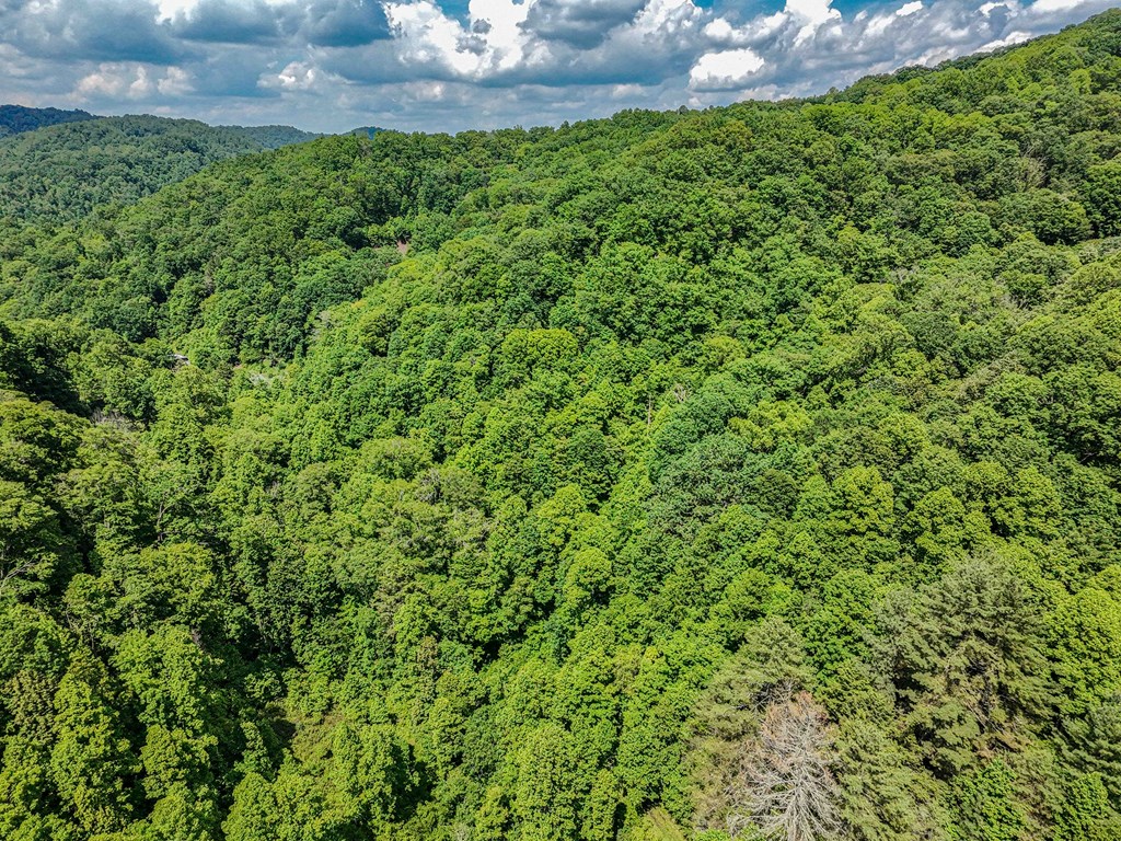 TBD Osborne Branch Road