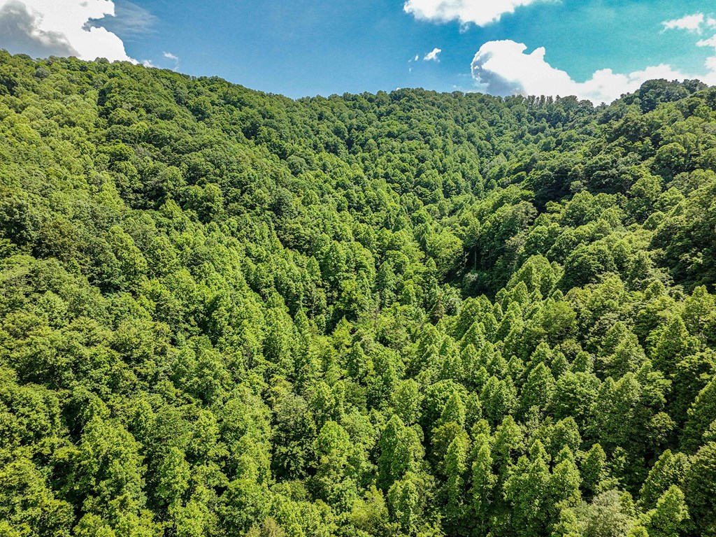 TBD Osborne Branch Road