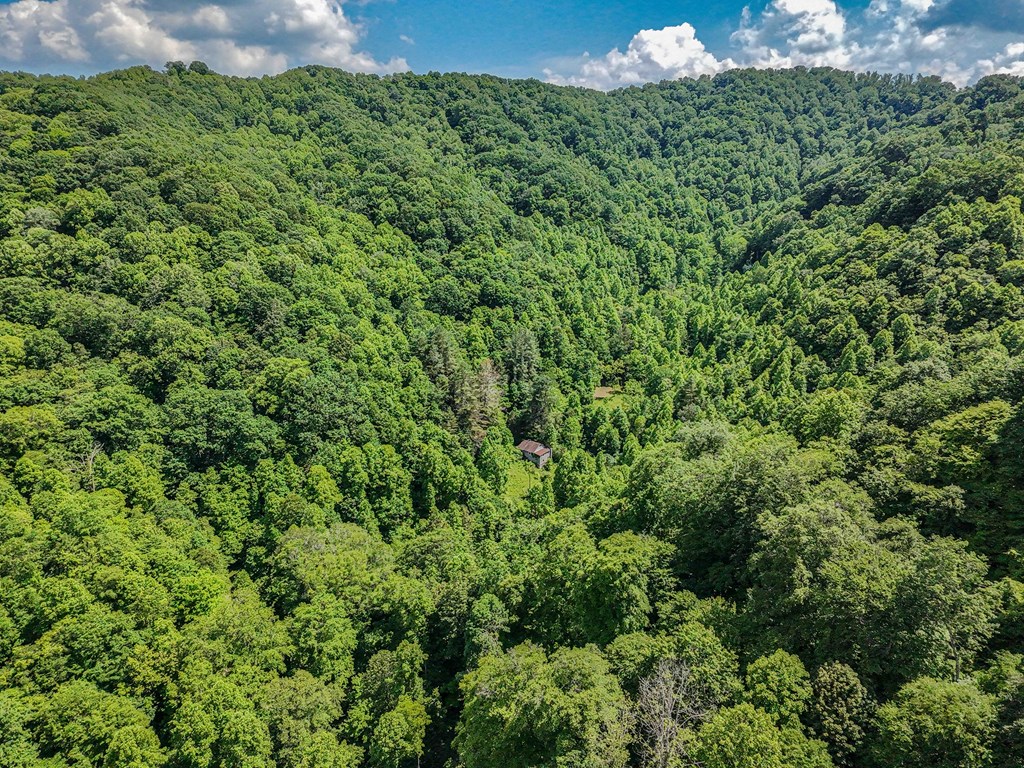TBD Osborne Branch Road