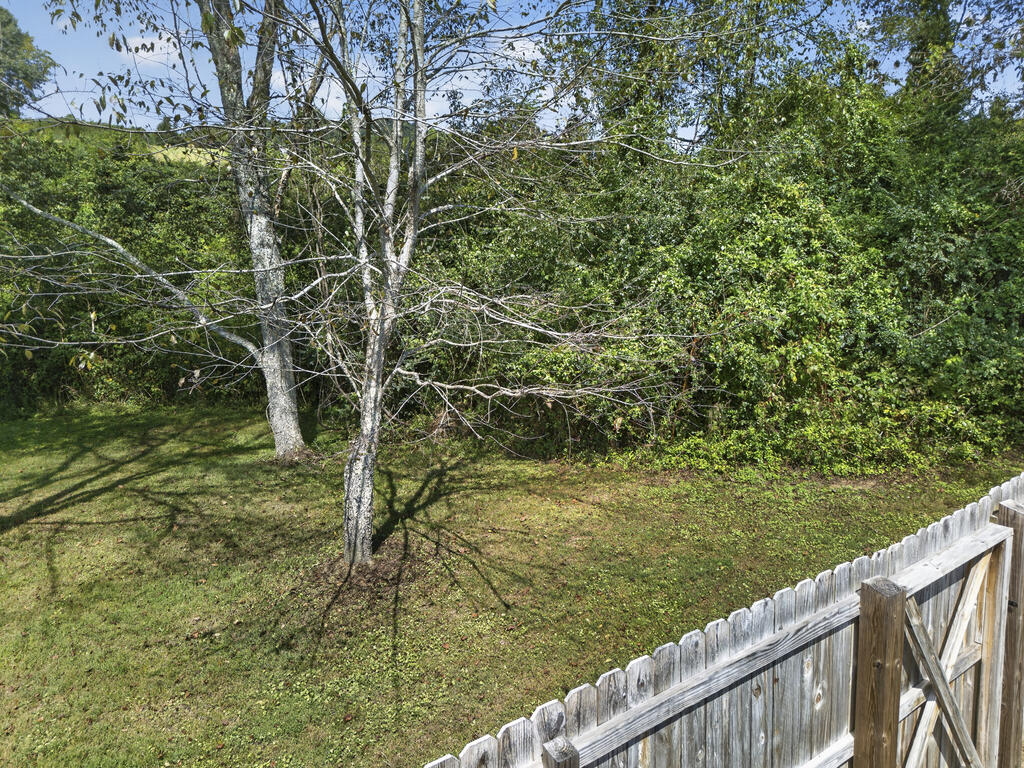 Grassy backyard with mature trees, dense woods, and a weathered wooden fence.