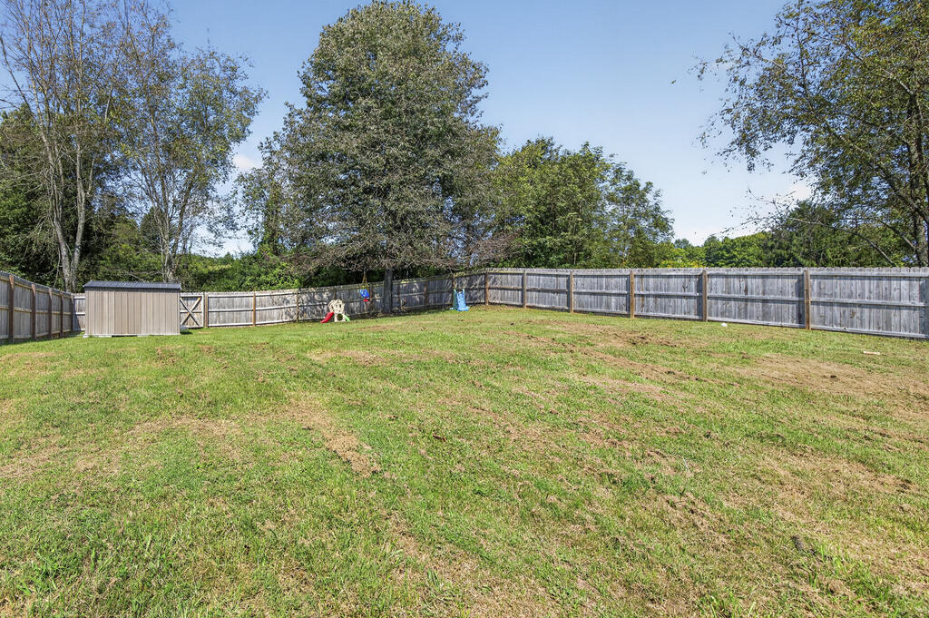 Fenced grassy backyard with a storage shed, play equipment, and mature trees.