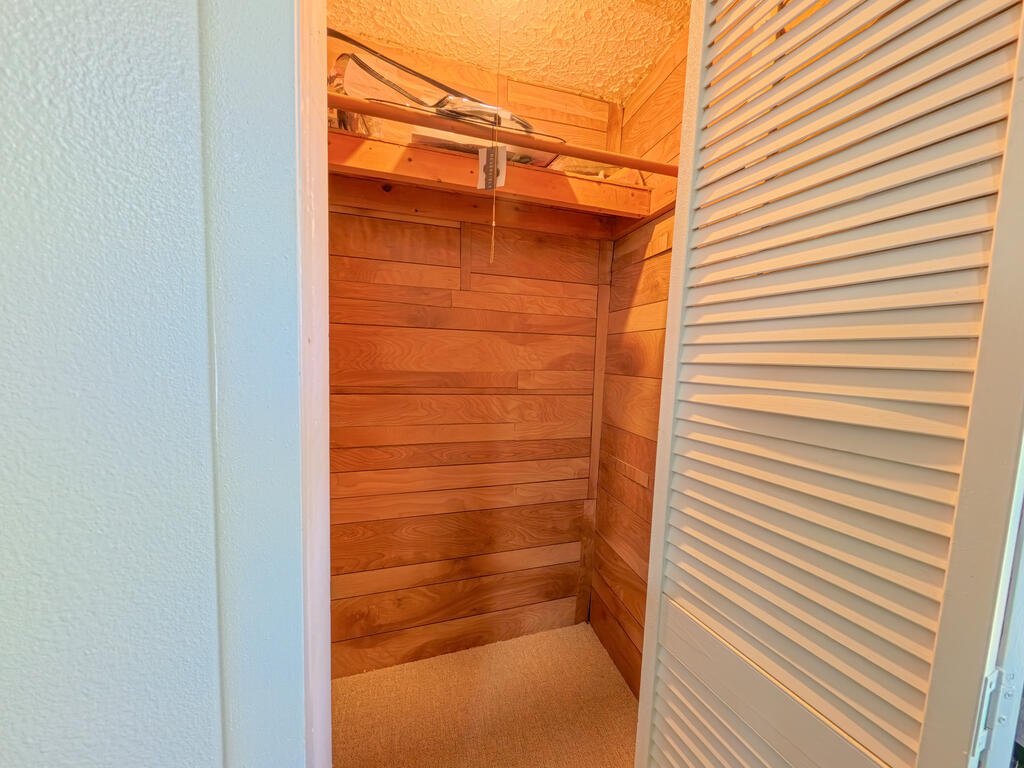 Cedar-lined closet with wood walls, a high shelf, hanging rod, and open louvered door.