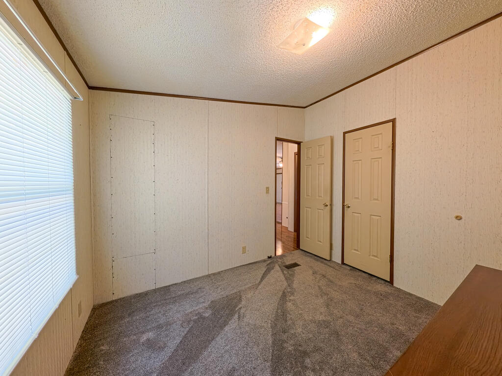 Empty carpeted bedroom with a wide window and two paneled doors.