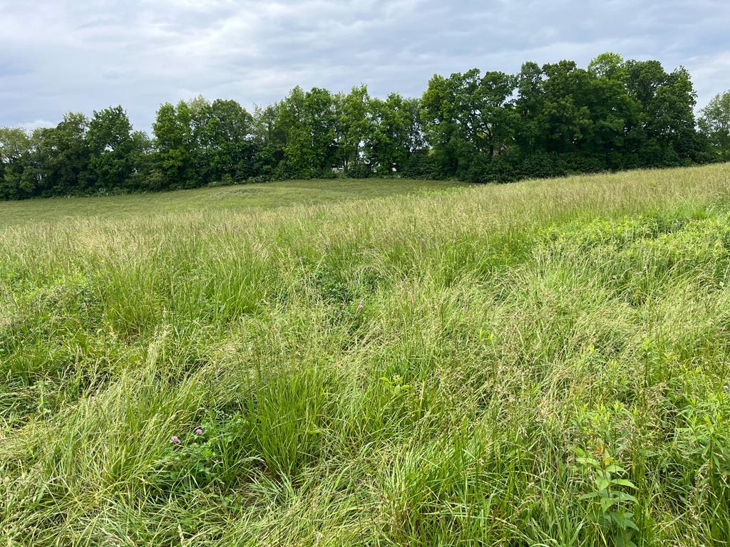Lot 7 Homestead Way