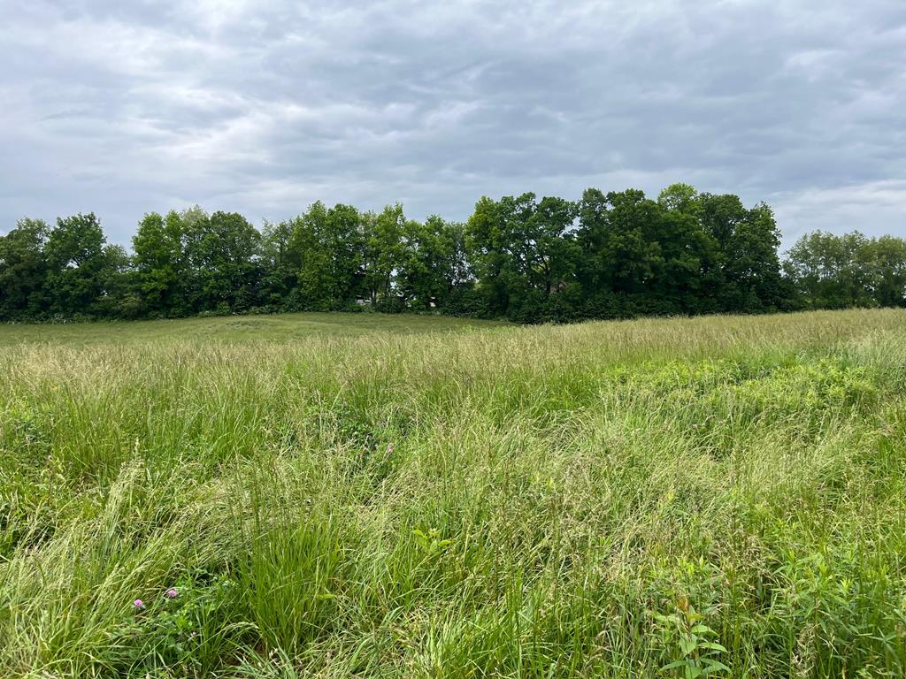 Lot 7 Homestead Way