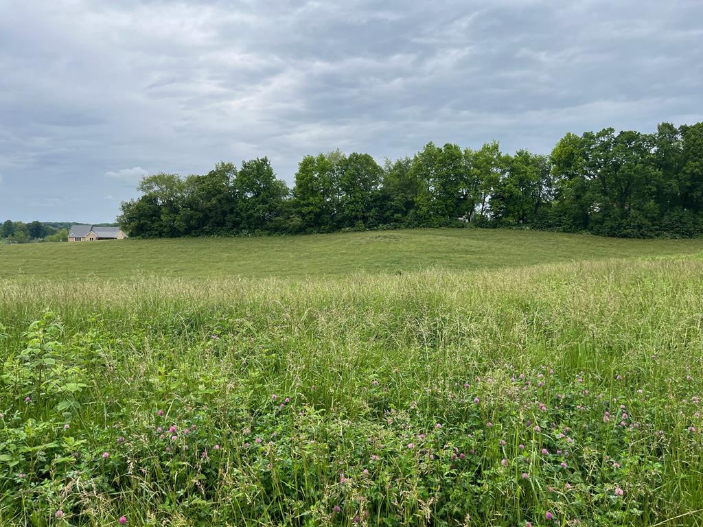 Lot 7 Homestead Way