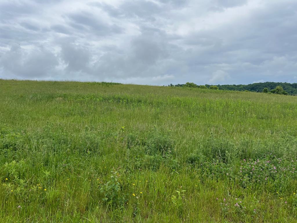 Lot 7 Homestead Way