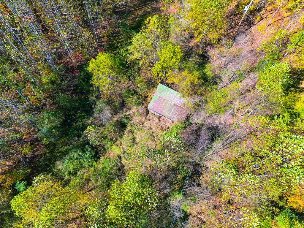 TBD Hunter Drive