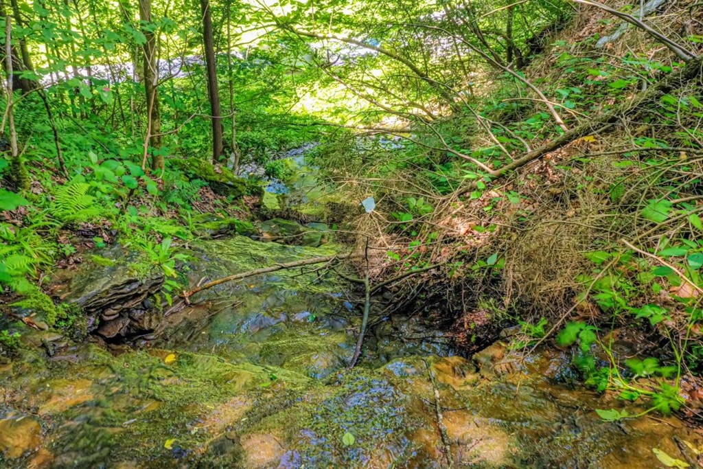 2477 Leemaster Drive