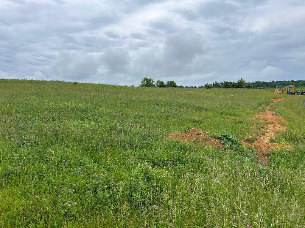 Lot 8 Homestead Way