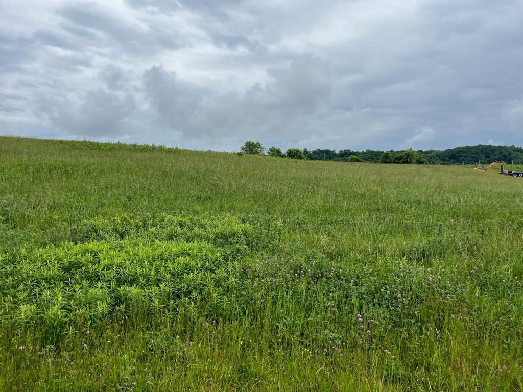 Lot 8 Homestead Way