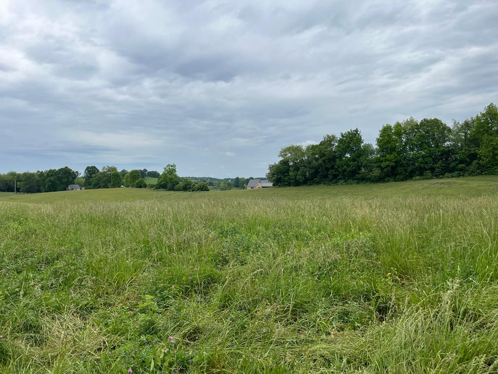 Lot 8 Homestead Way