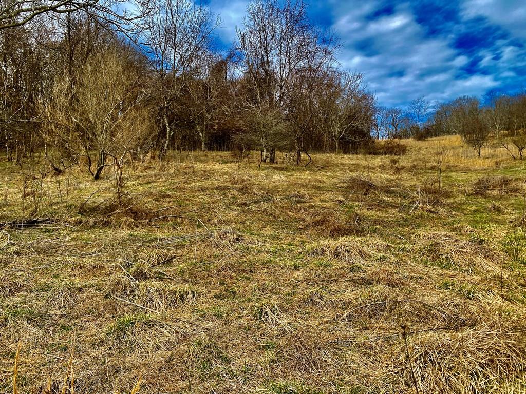 TBD Windy Drive