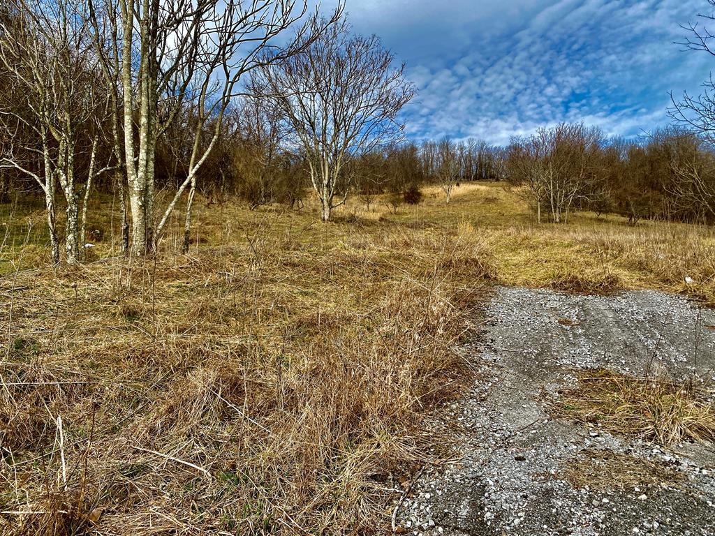 TBD Windy Drive