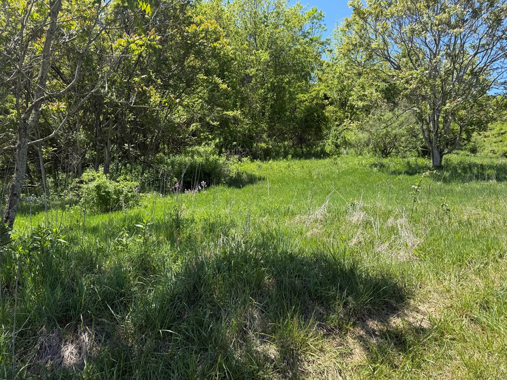 TBD Windy Drive