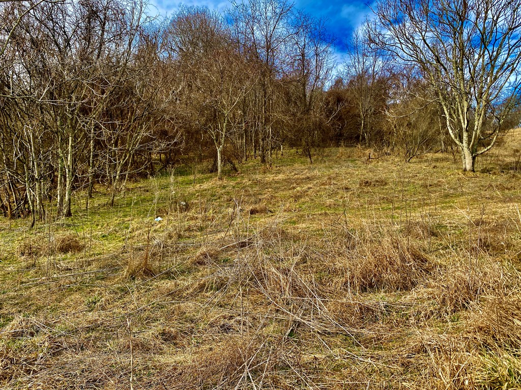 TBD Windy Drive
