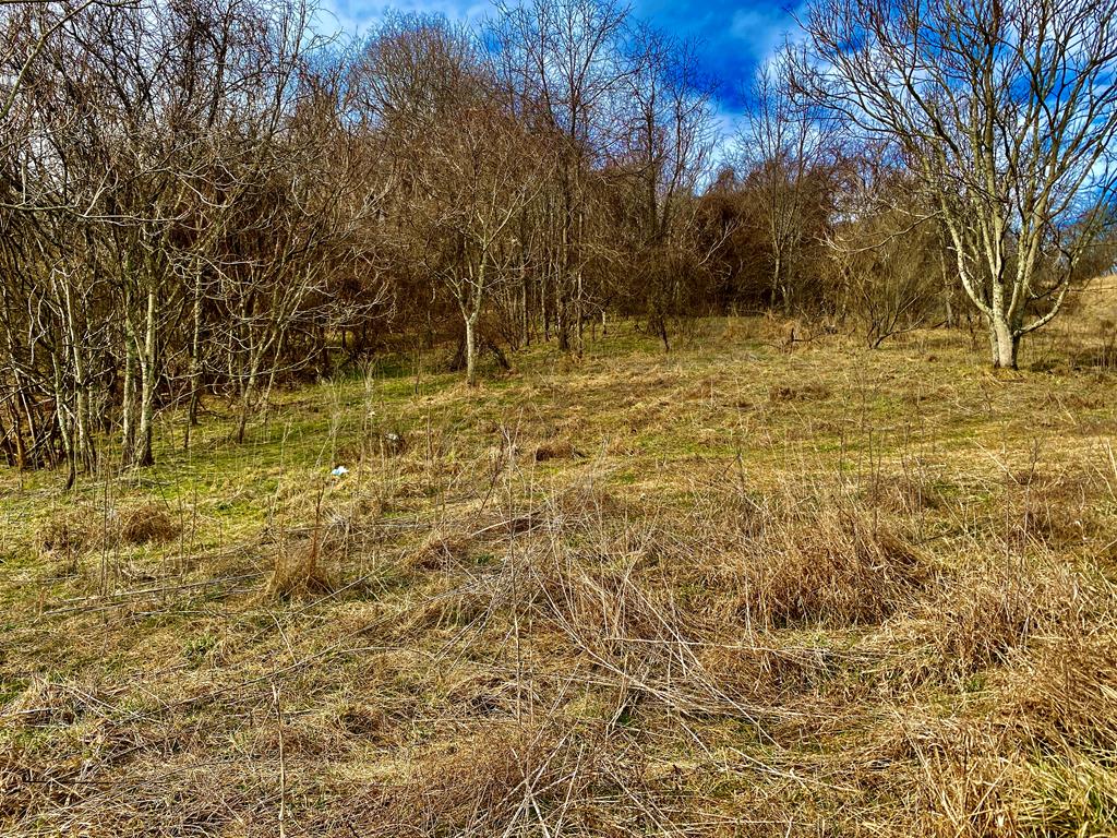 TBD Windy Drive