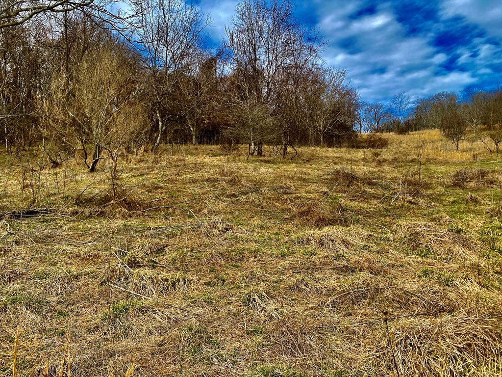 TBD Windy Drive