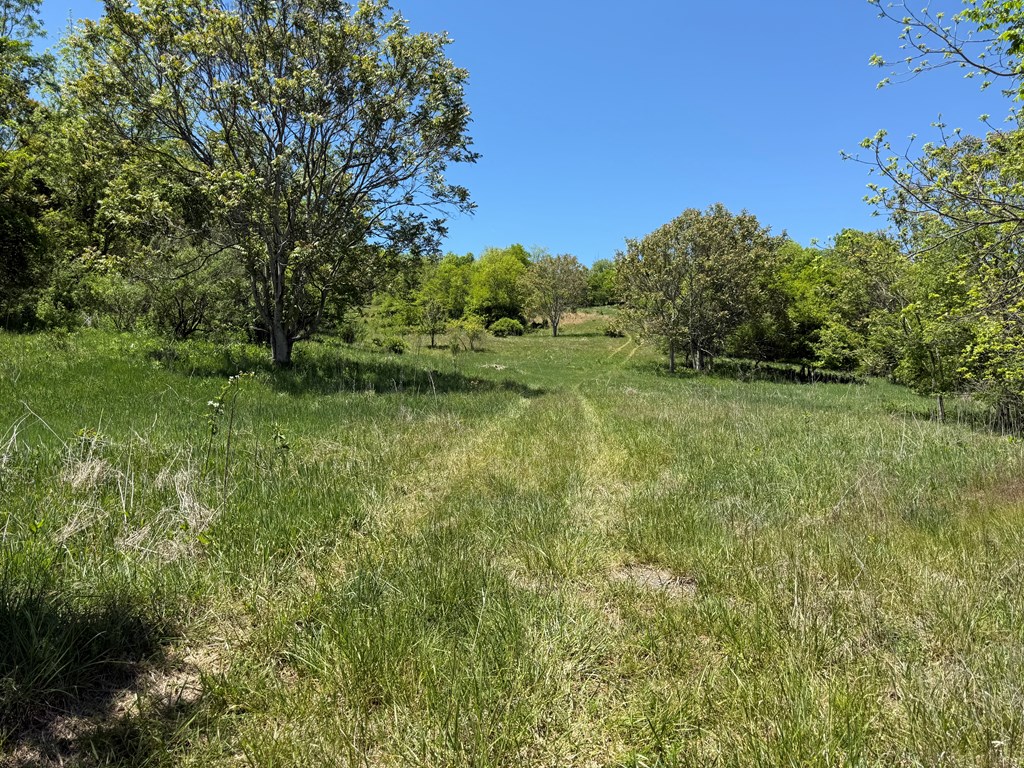 TBD Windy Drive