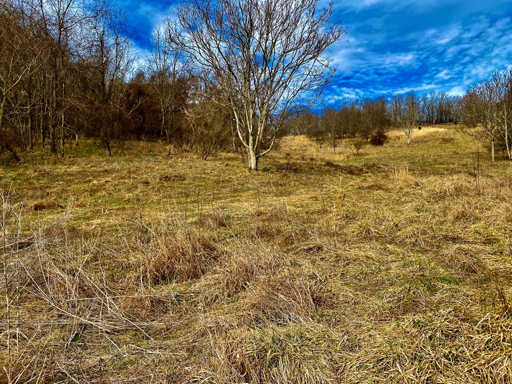 TBD Windy Drive