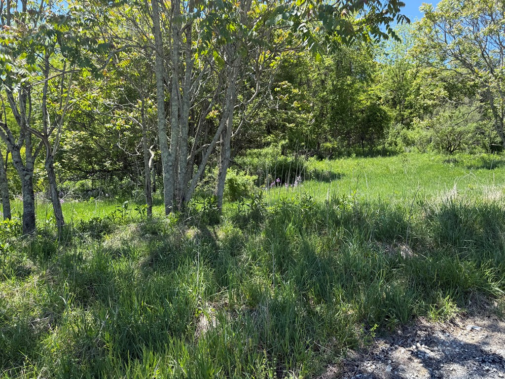 TBD Windy Drive