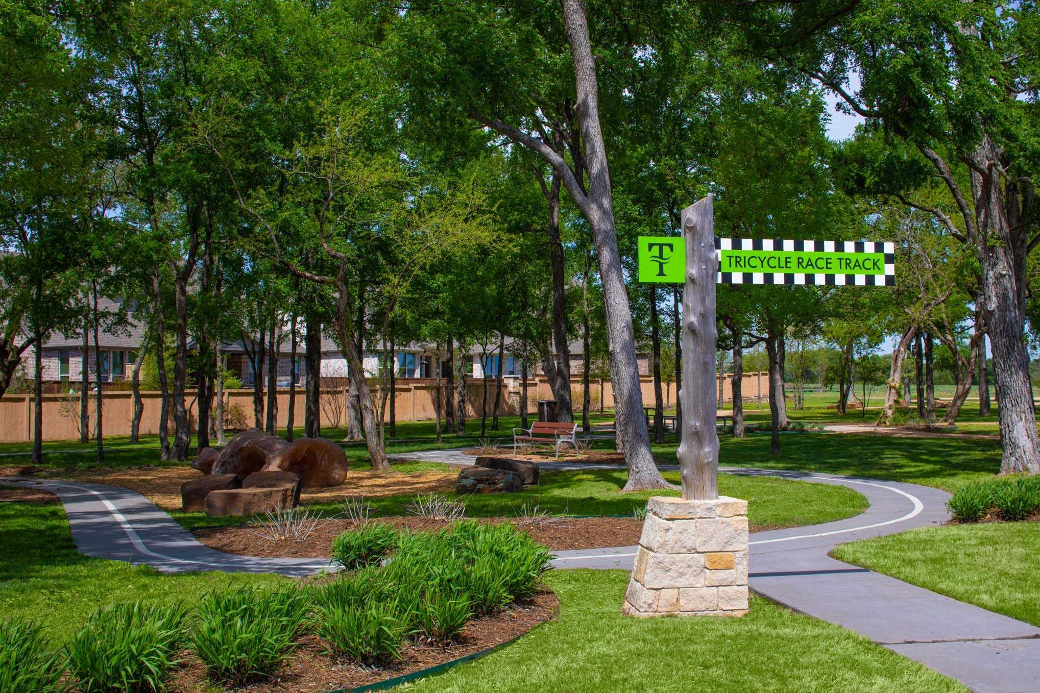 8117 Yellow Brick Pass