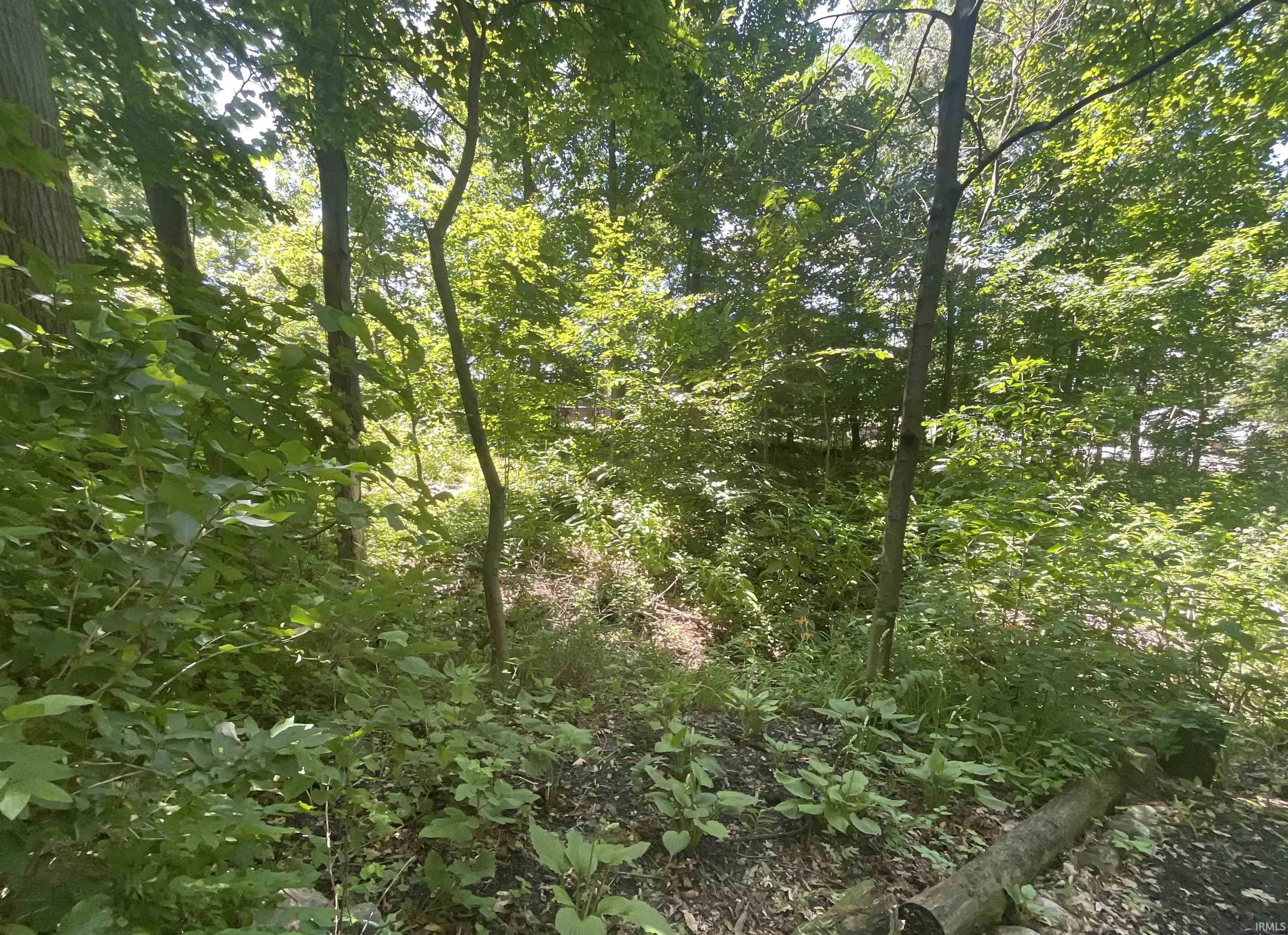 TBD E Forest Glen Avenue Unit: 2