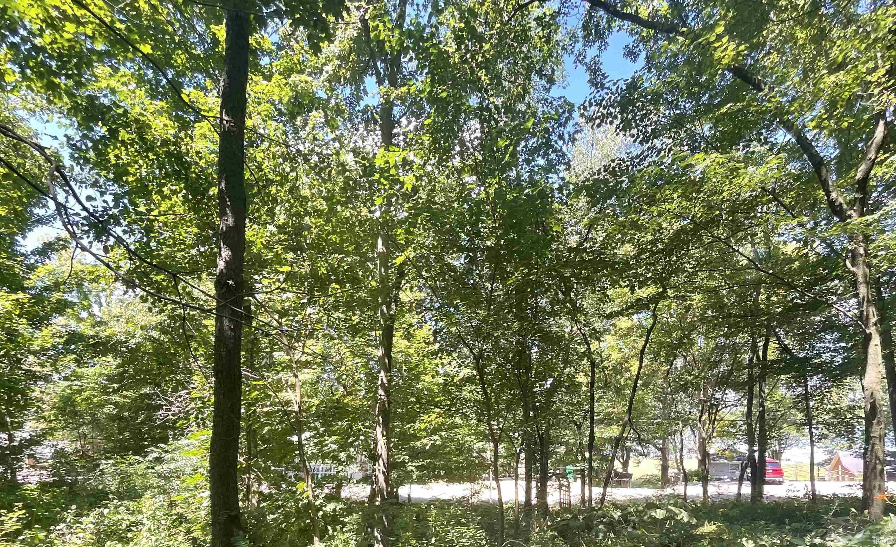 TBD E Forest Glen Avenue Unit: 2