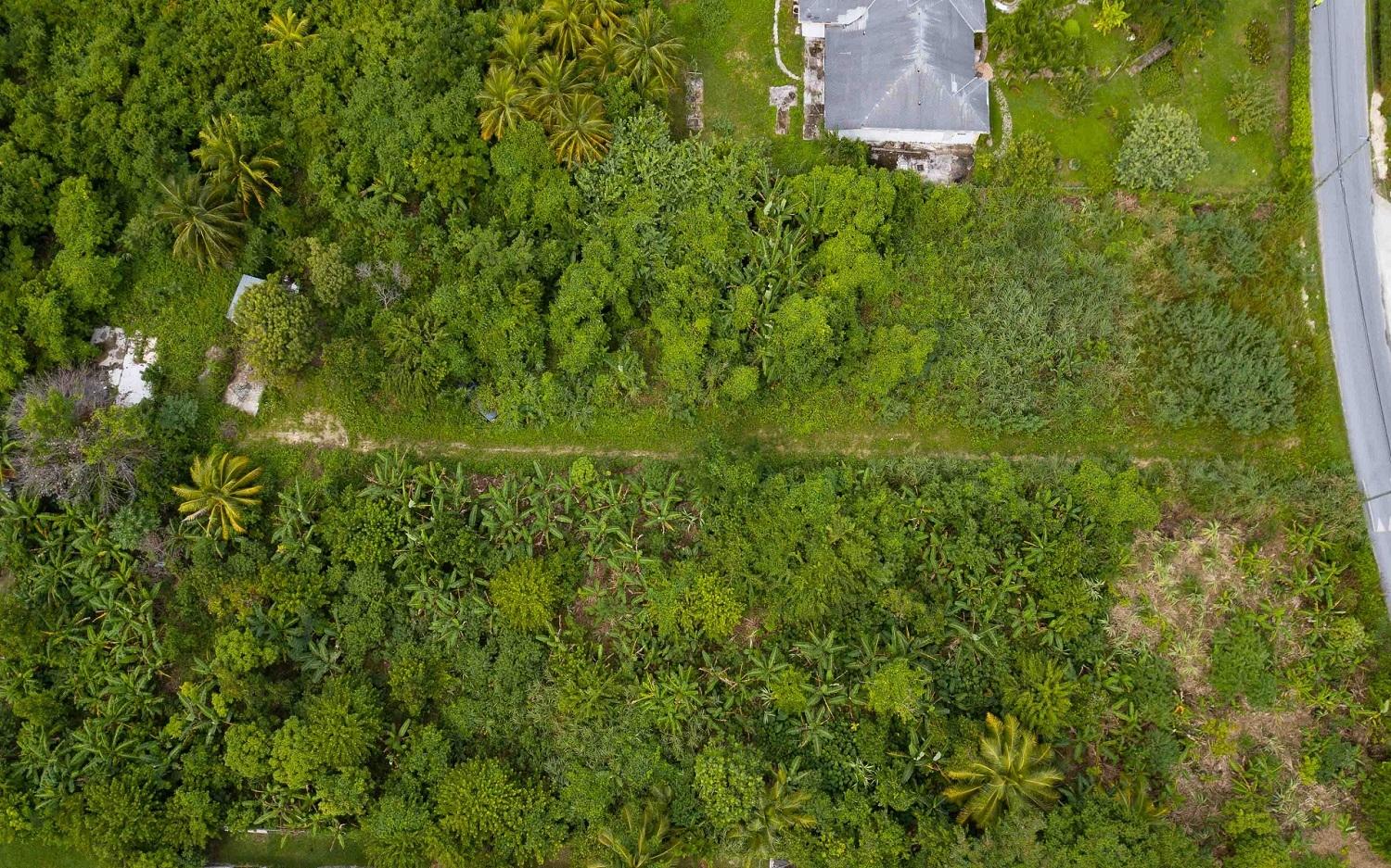 LOT S, PALM BEACH DRIVE