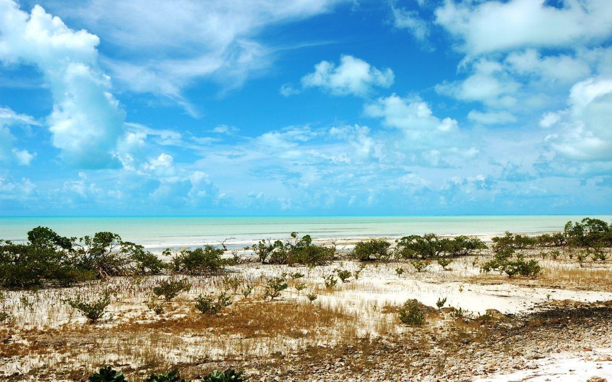 LOTS 1074 1075 1076 EXUMA