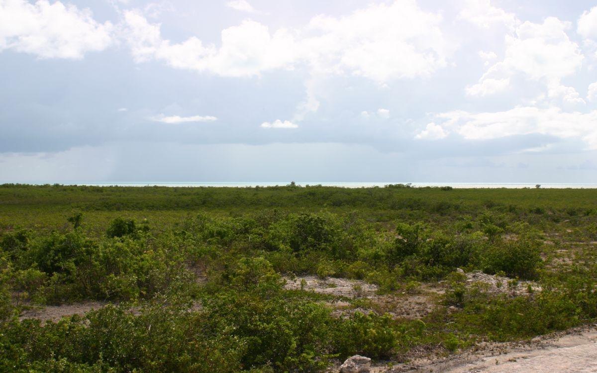 LOTS 1074 1075 1076 EXUMA