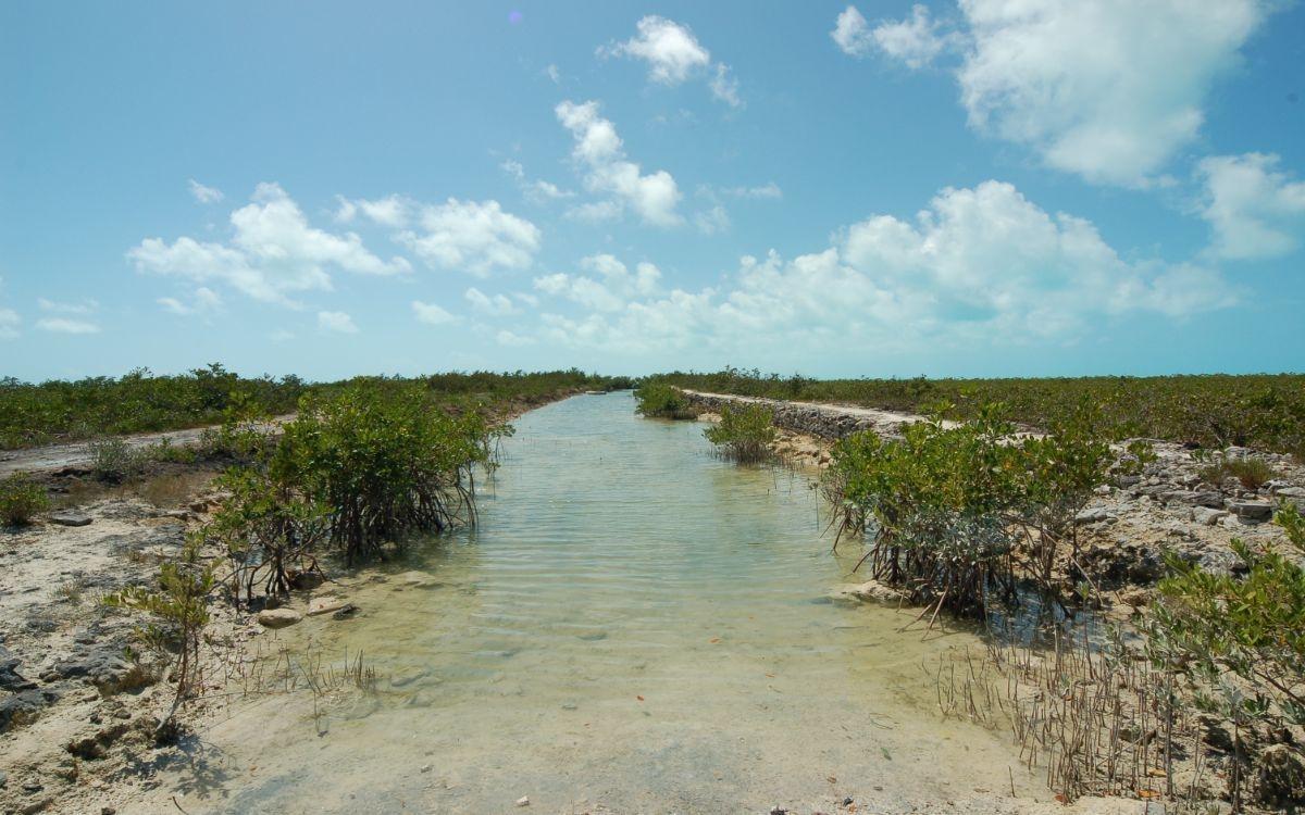 LOT 1076, BAHAMA SOUND 4,