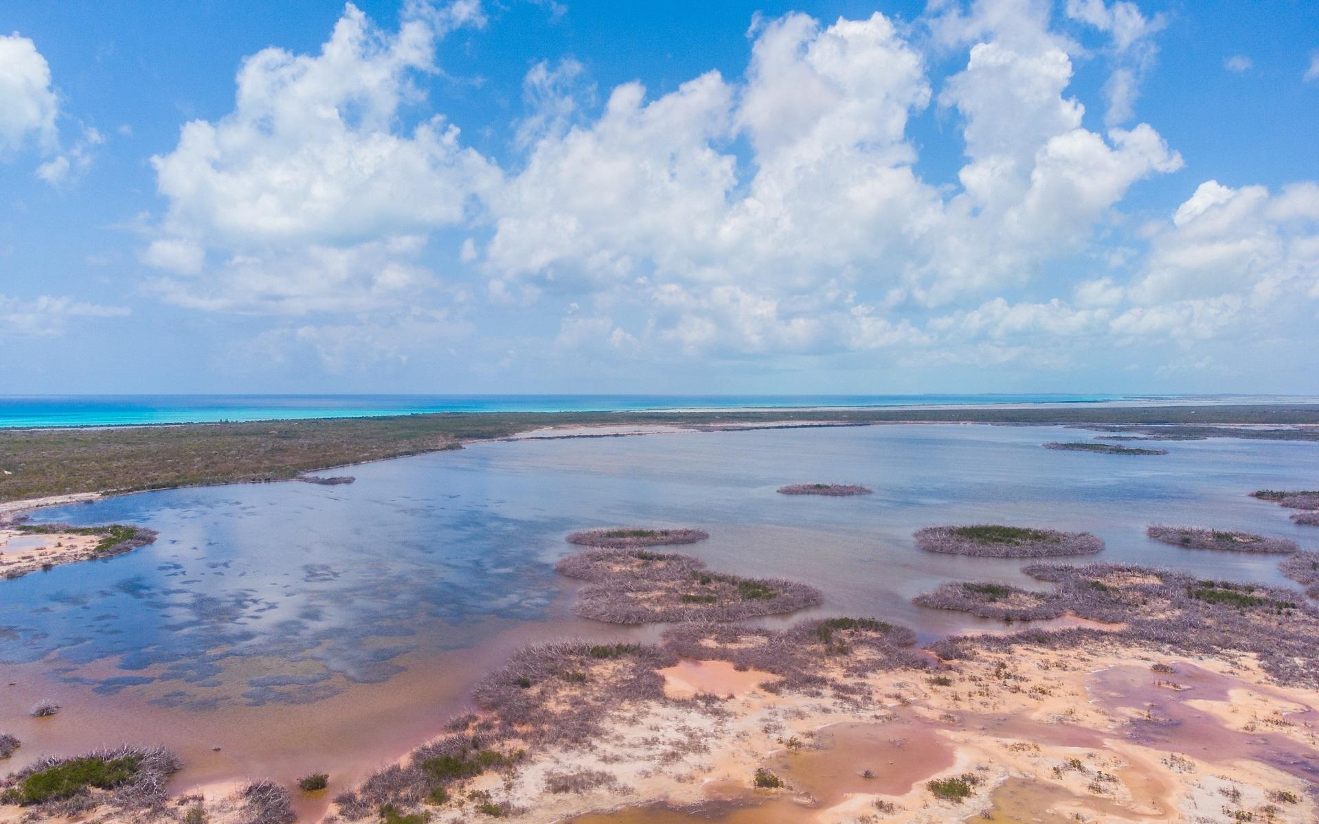 WOOD HILL NORTHEAST OF GO