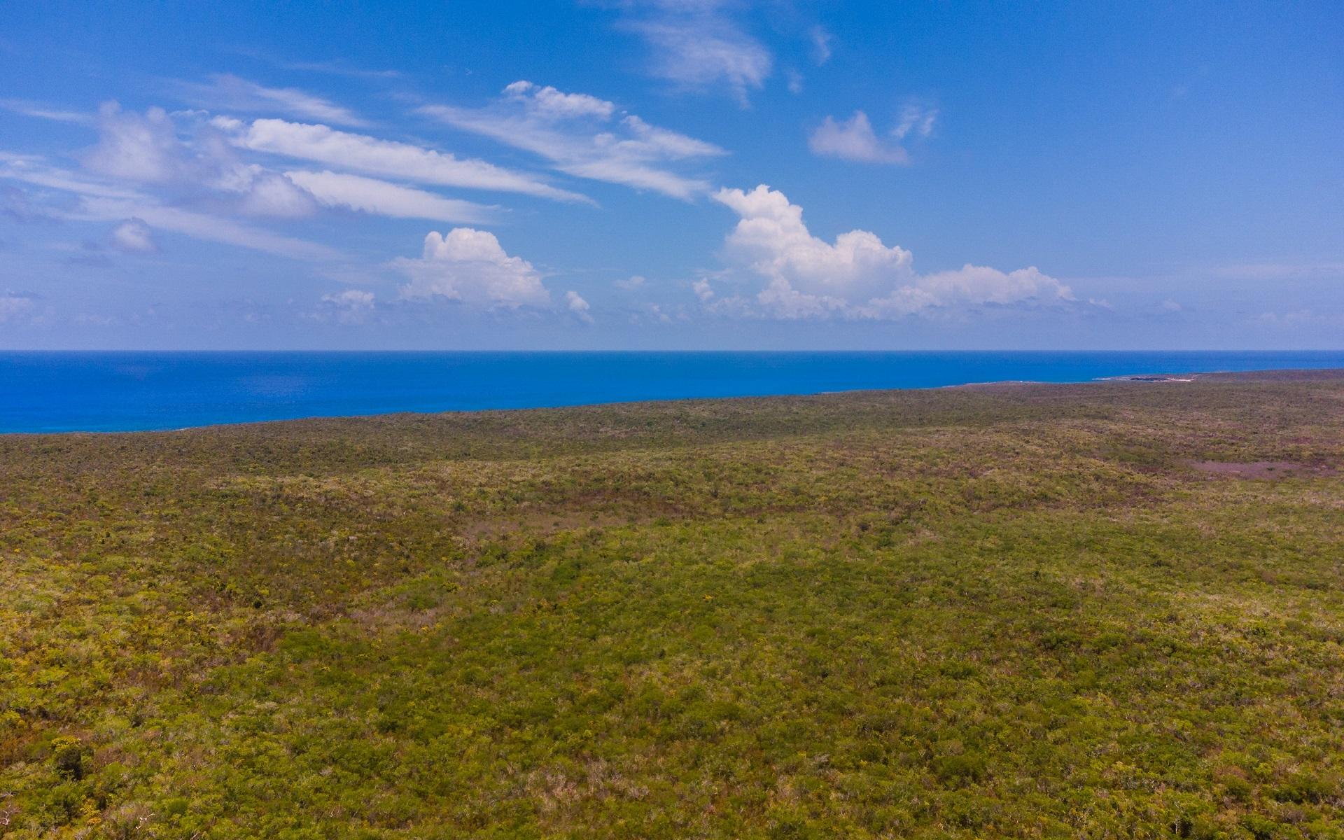 WOOD HILL NORTHEAST OF GO