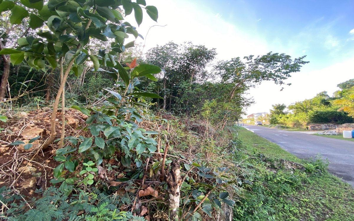 LOT 124, KILLARNEY SHORES