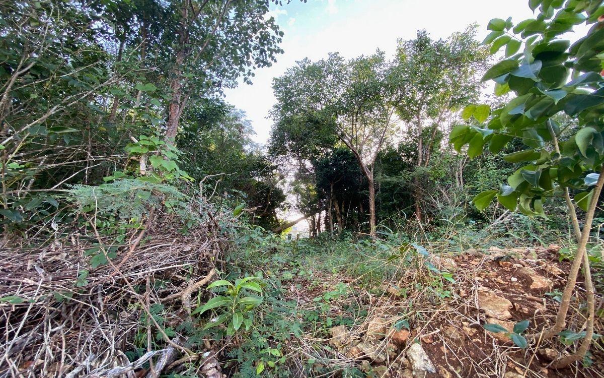 LOT 124, KILLARNEY SHORES