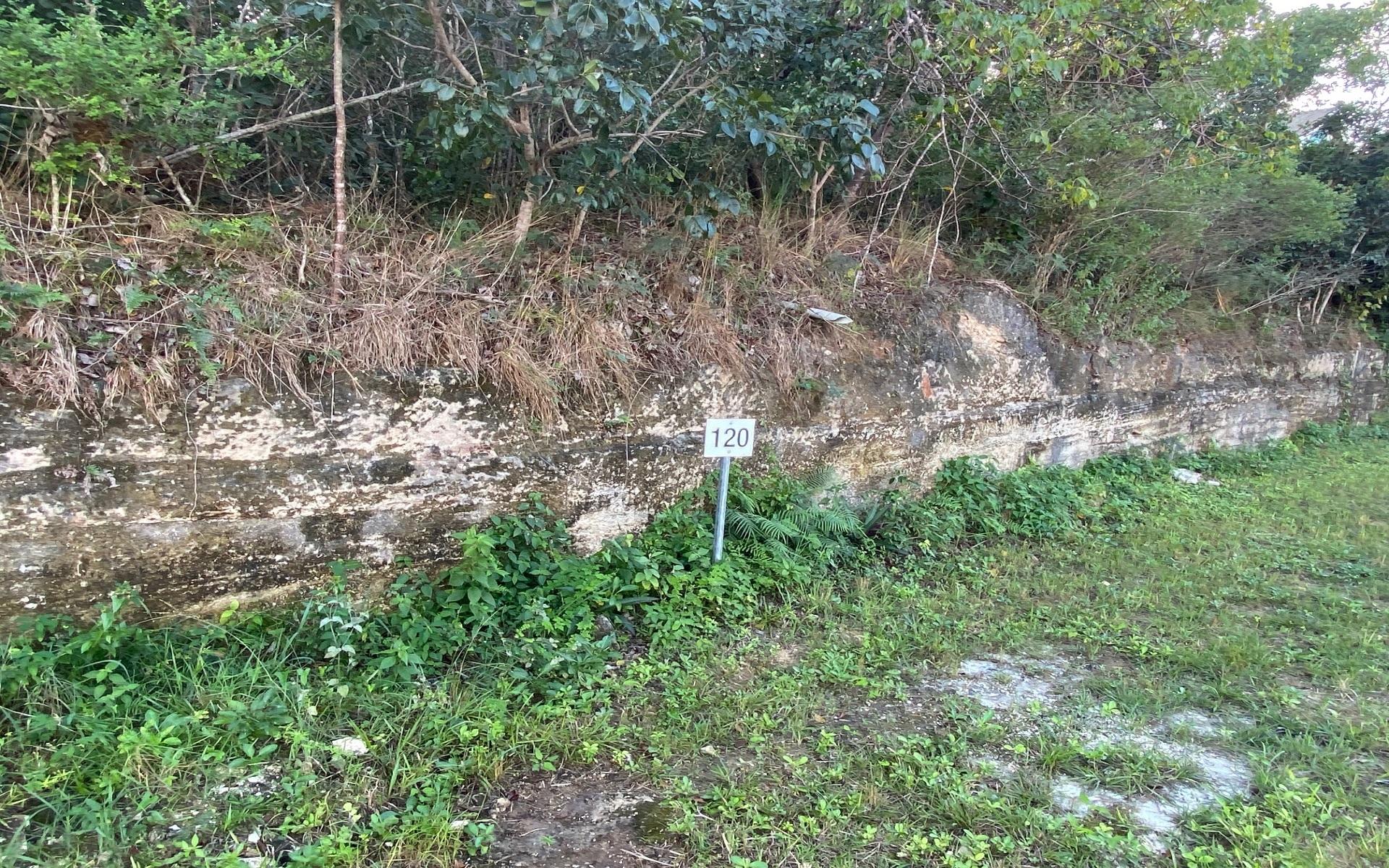 LOT 124, KILLARNEY SHORES