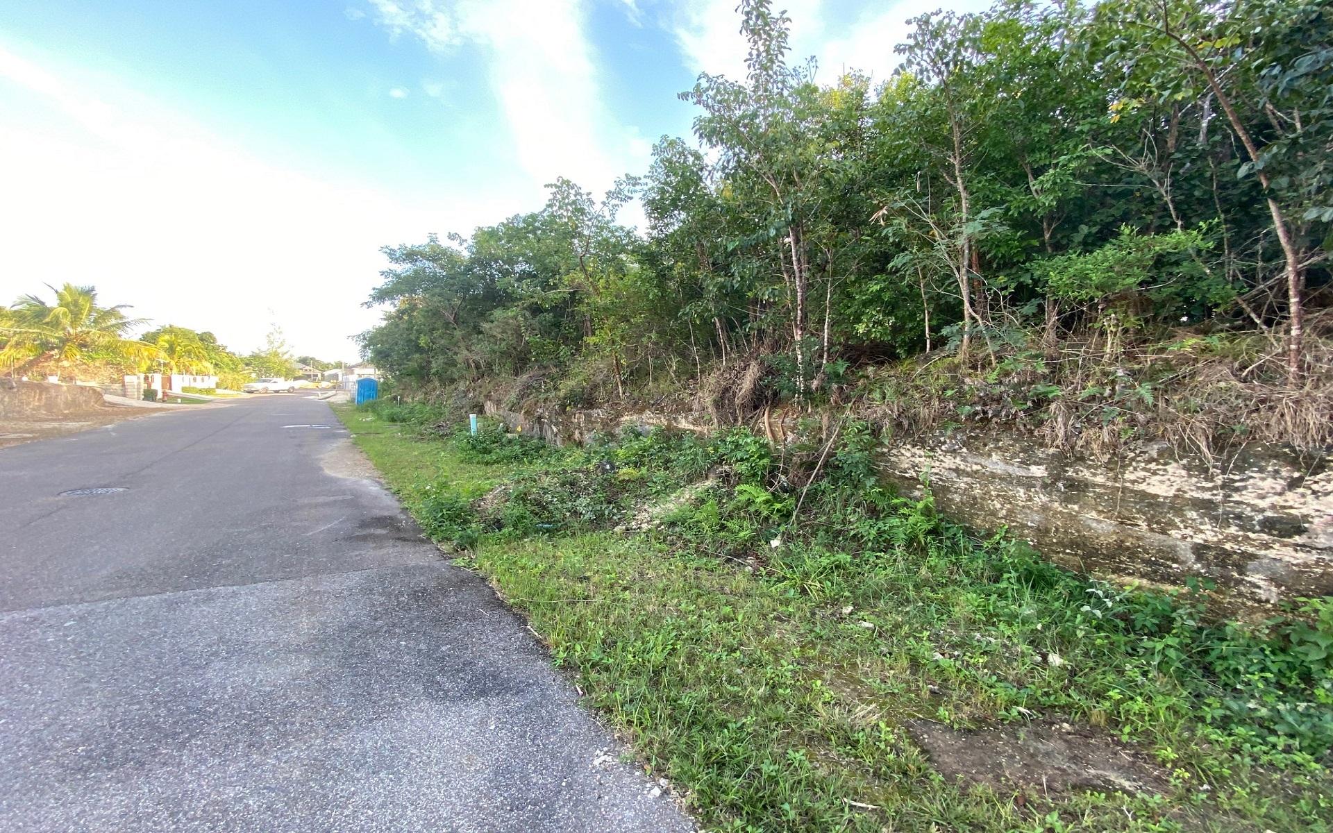 LOT 124, KILLARNEY SHORES