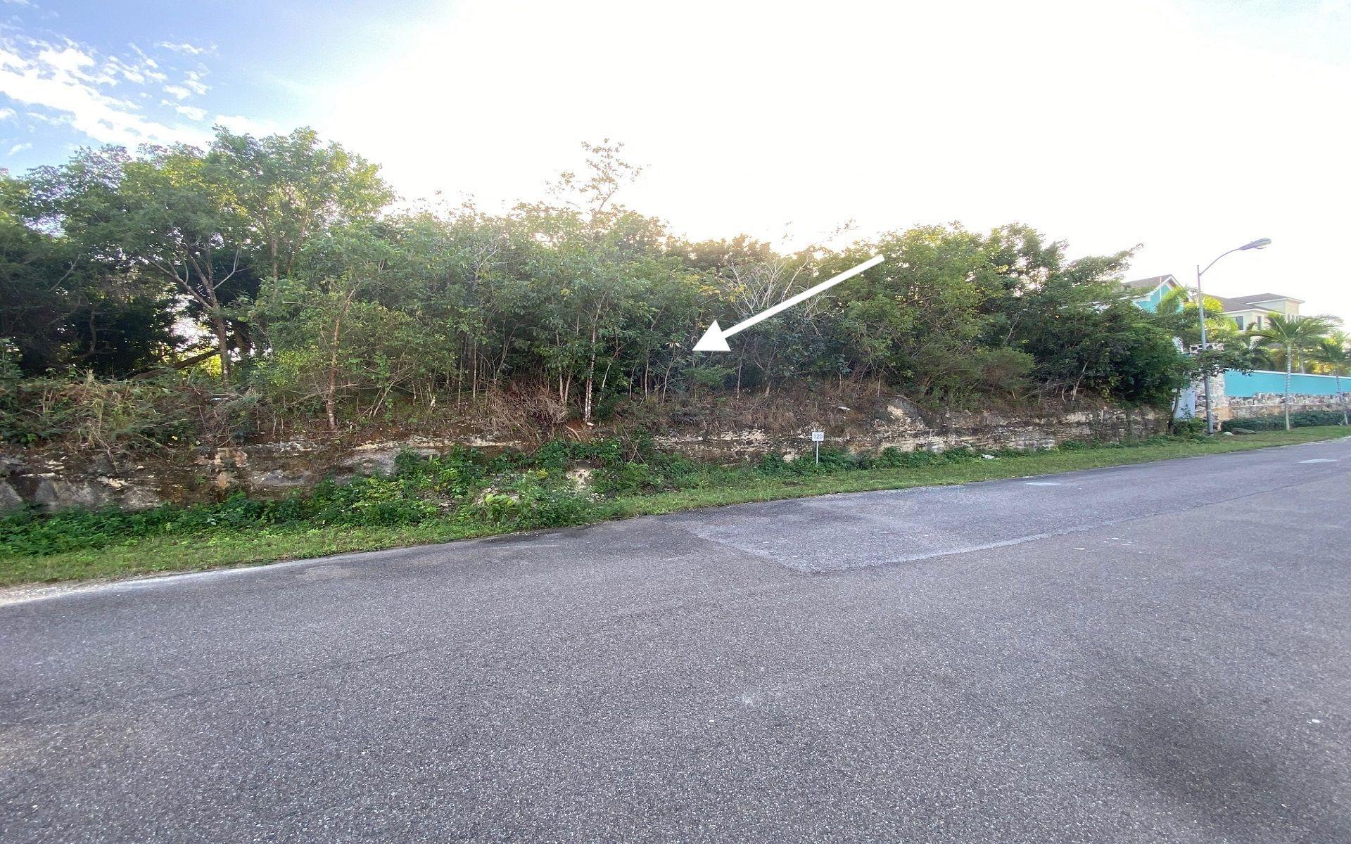 LOT 124, KILLARNEY SHORES