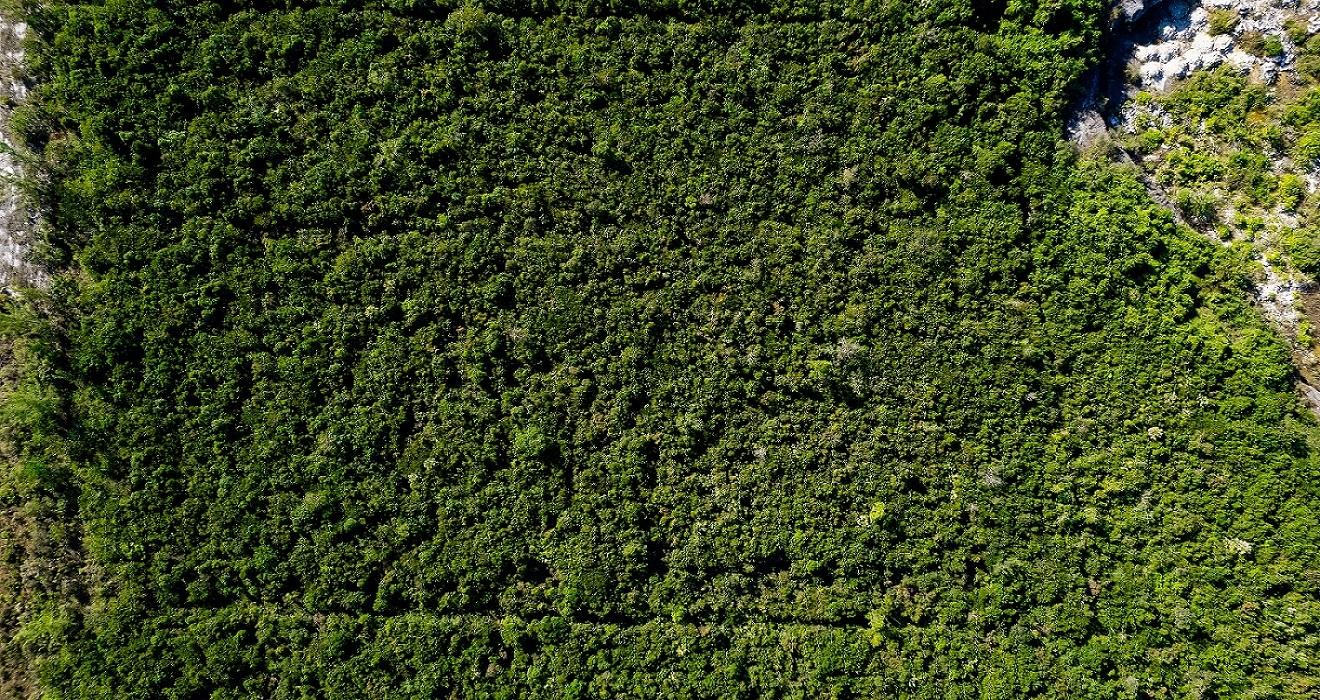 LOT A SOUTH OCEAN ACREAGE