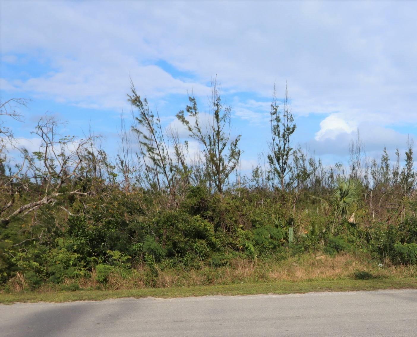 LOT 18 BLACKWOOD