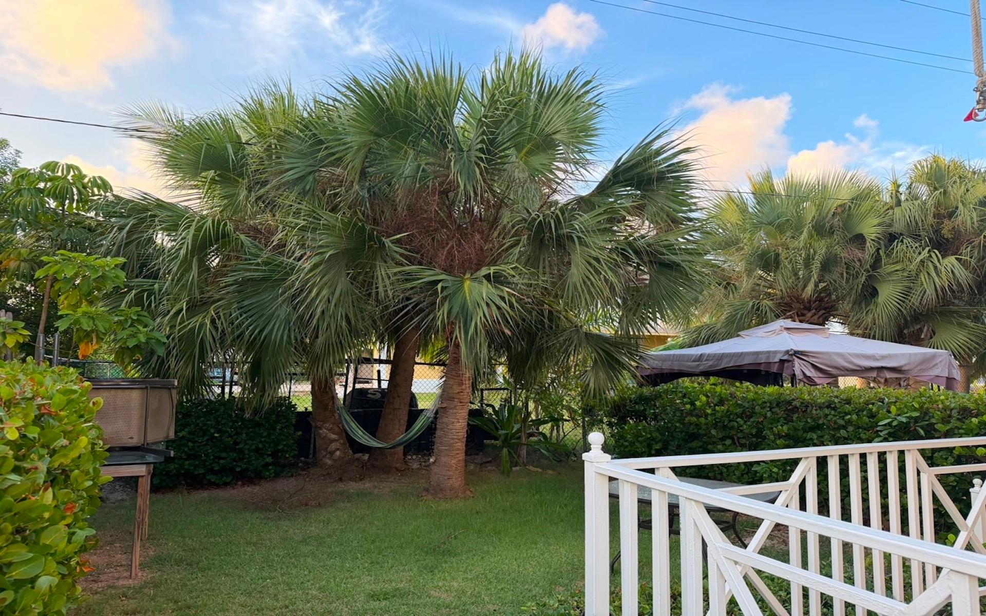 CORAL HARBOUR RENTAL Unit: 1
