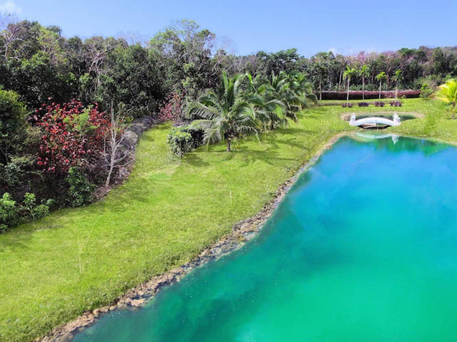 LOT 98, LYFORD HILLS
