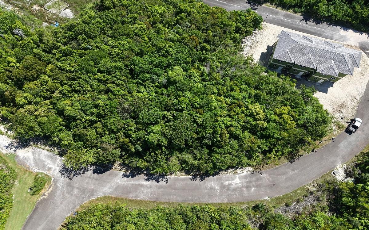 LOT 98, LYFORD HILLS